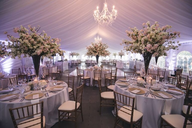 GilTaminPhotography0029 1 768x513