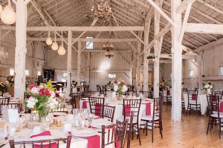 HaleyPhotography0022 1 768x512