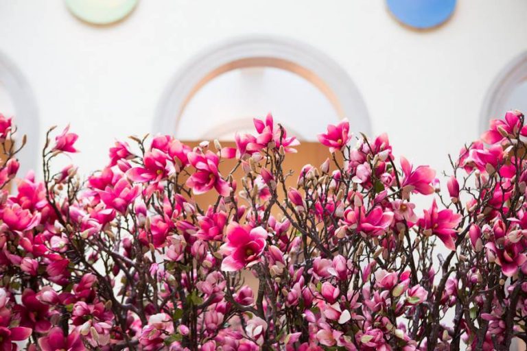 Ikonica003 1 768x512