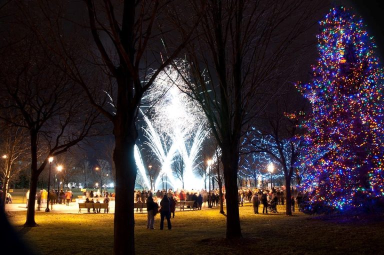 bluestarpyrotechnics mississauga 012 full size 768x510