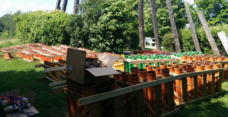 bluestarpyrotechnics mississauga 015 full size 768x394