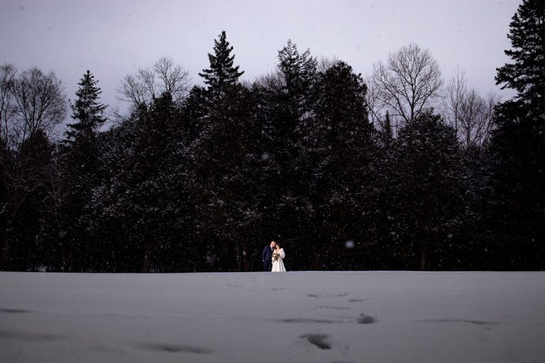 diego and liza photography toronto 056 full size 1 768x512