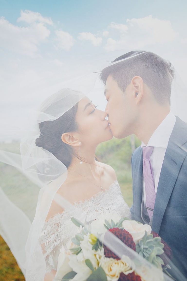 dvision toronto 011 full size 1 768x1152