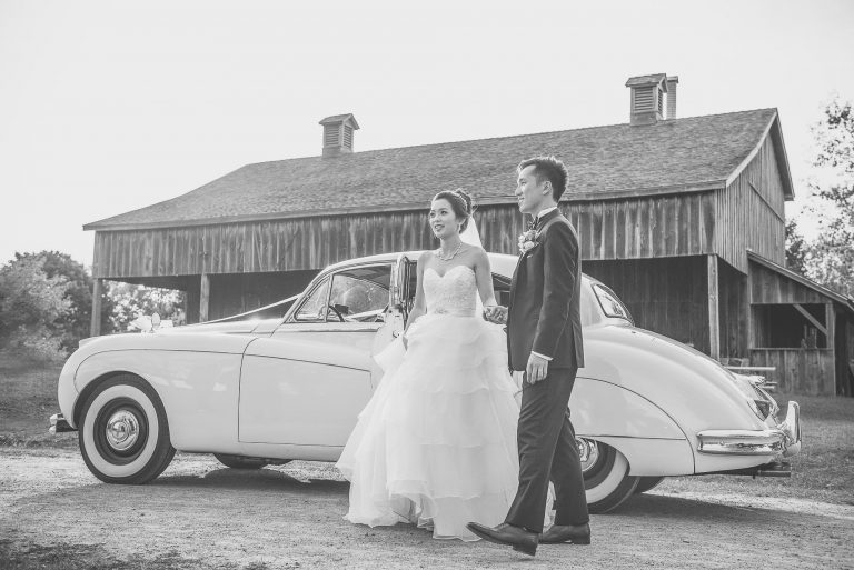 herman photography markham 008 full size 1 768x513