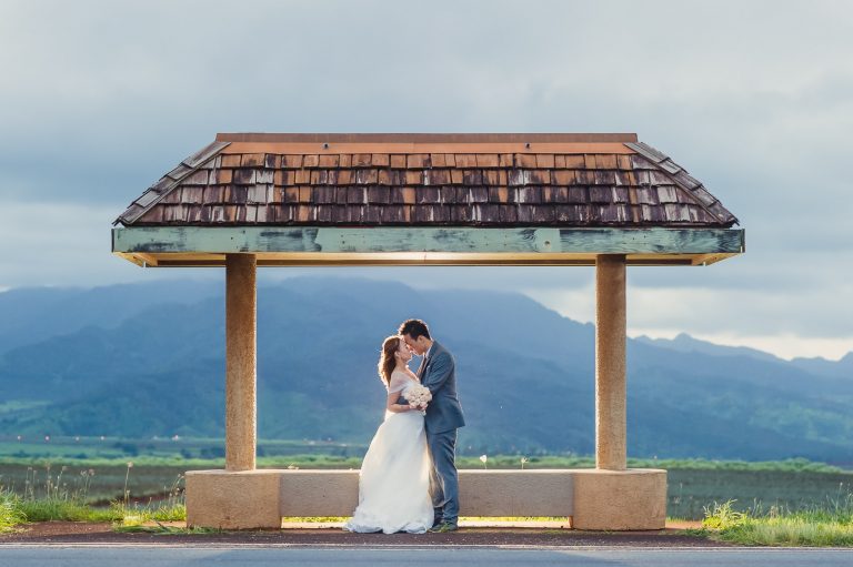 herman photography markham 009 full size 768x511