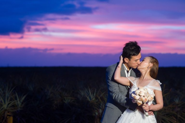 herman photography markham 010 full size 1 768x511