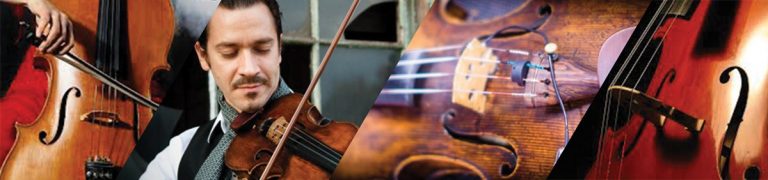 soular toronto 017 full size 768x180