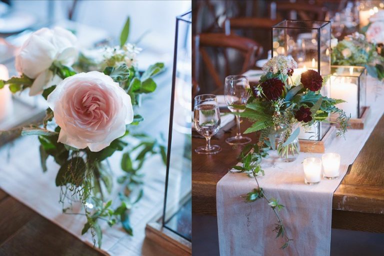 stemz toronto 002 full size 1 768x512