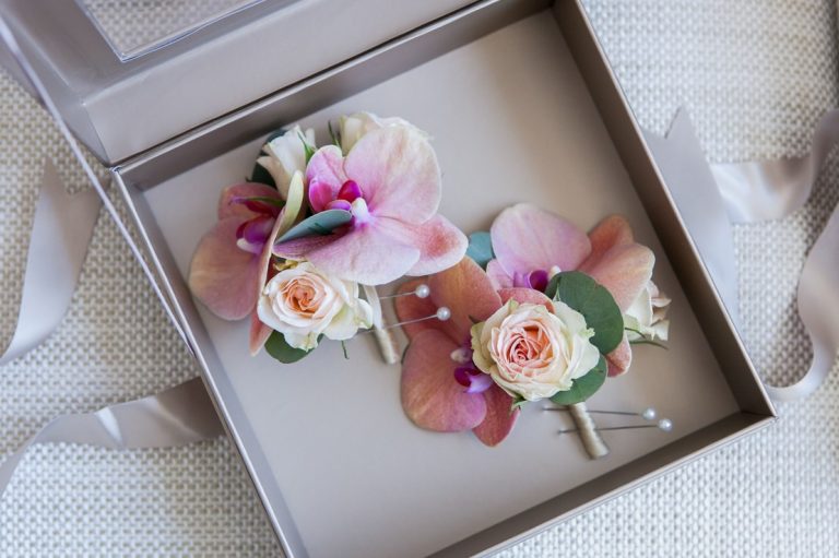 stemz toronto 003 full size 768x511