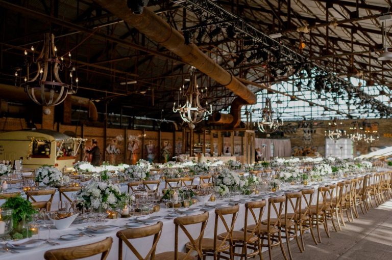 stemz toronto 004 full size 1 768x511