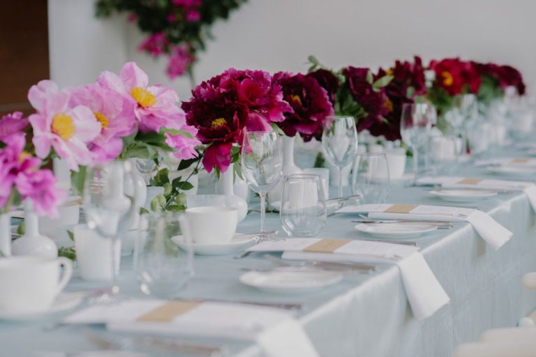 stemz toronto 006 full size 1 768x512