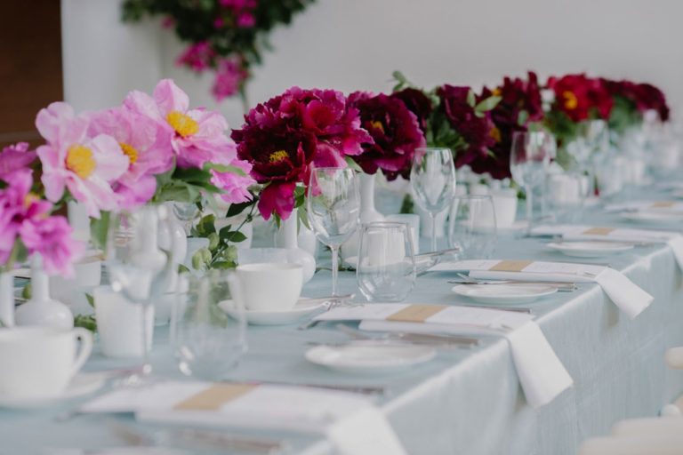 stemz toronto 006 full size 768x512