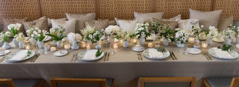 stemz toronto 007 full size 768x280