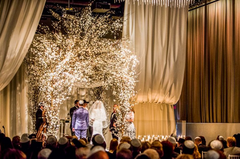 stemz toronto 008 full size 768x511