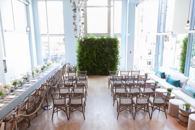 stemz toronto 009 full size 1 768x512