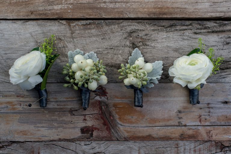 stemz toronto 010 full size 768x512