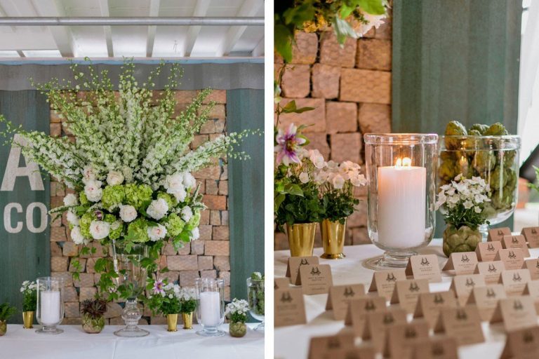 stemz toronto 012 full size 1 768x512