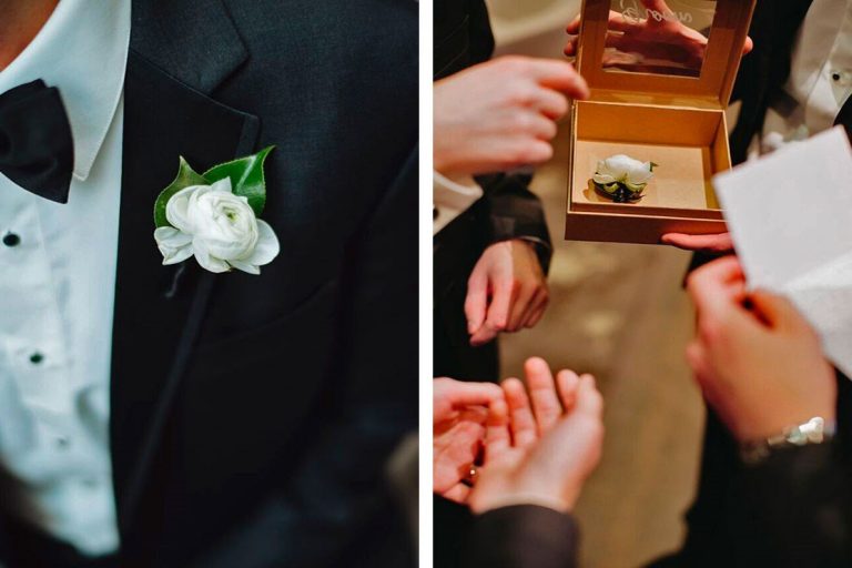 stemz toronto 014 full size 1 768x512