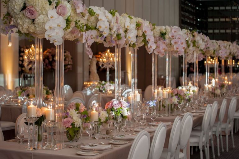 stemz toronto 015 full size 768x512