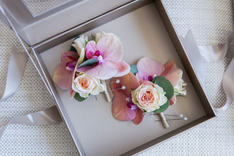 stemz toronto 016 full size 768x512