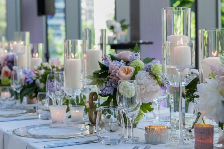 stemz toronto 017 full size 1 768x512