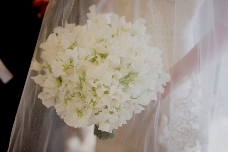 stemz toronto 019 full size 768x512