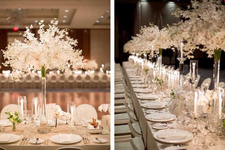 stemz toronto 020 full size 768x512