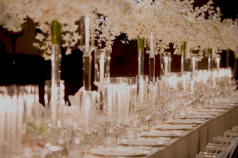 stemz toronto 021 full size 1 768x512