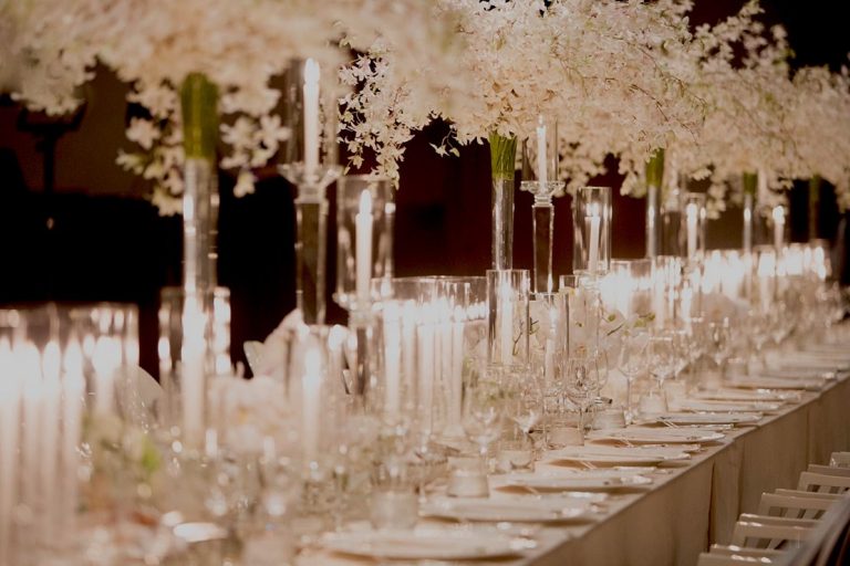 stemz toronto 021 full size 768x512