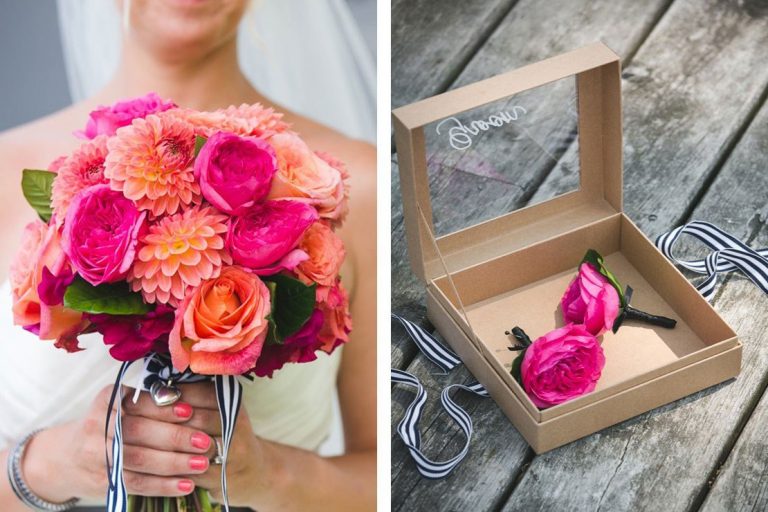 stemz toronto 023 full size 1 768x512