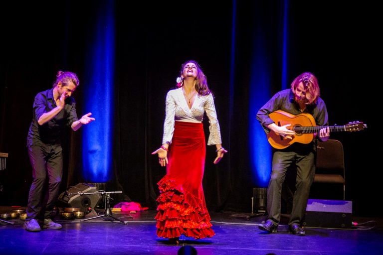 stereoflavour entertainment toronto 056 full size 768x512