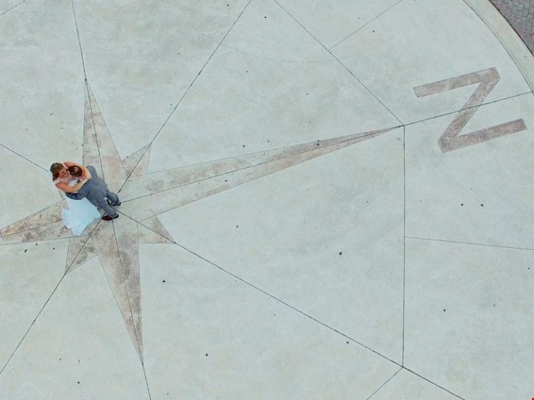 wild and free films toronto 003 homepage 1 768x576