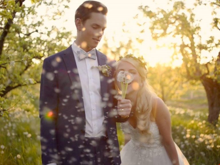 wild and free films toronto 005 homepage 1 768x576