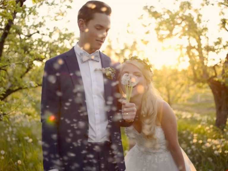 wild and free films toronto 005 homepage 768x576