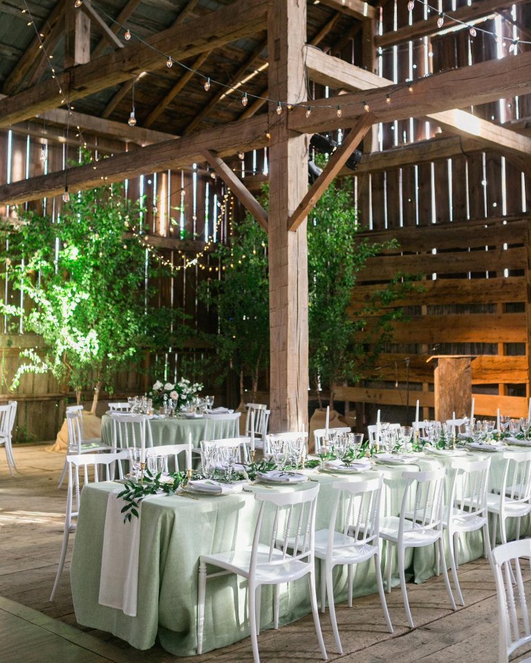Cambium Farms 7 768x959