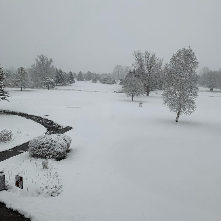 Dalewood Golf Club 9 768x768