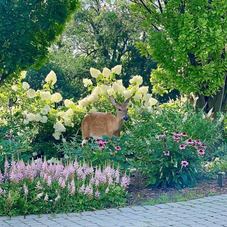 LaSalle Banquet Centre 7 768x769