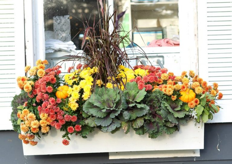 Western Trent Golf Club Weddings 8 768x542