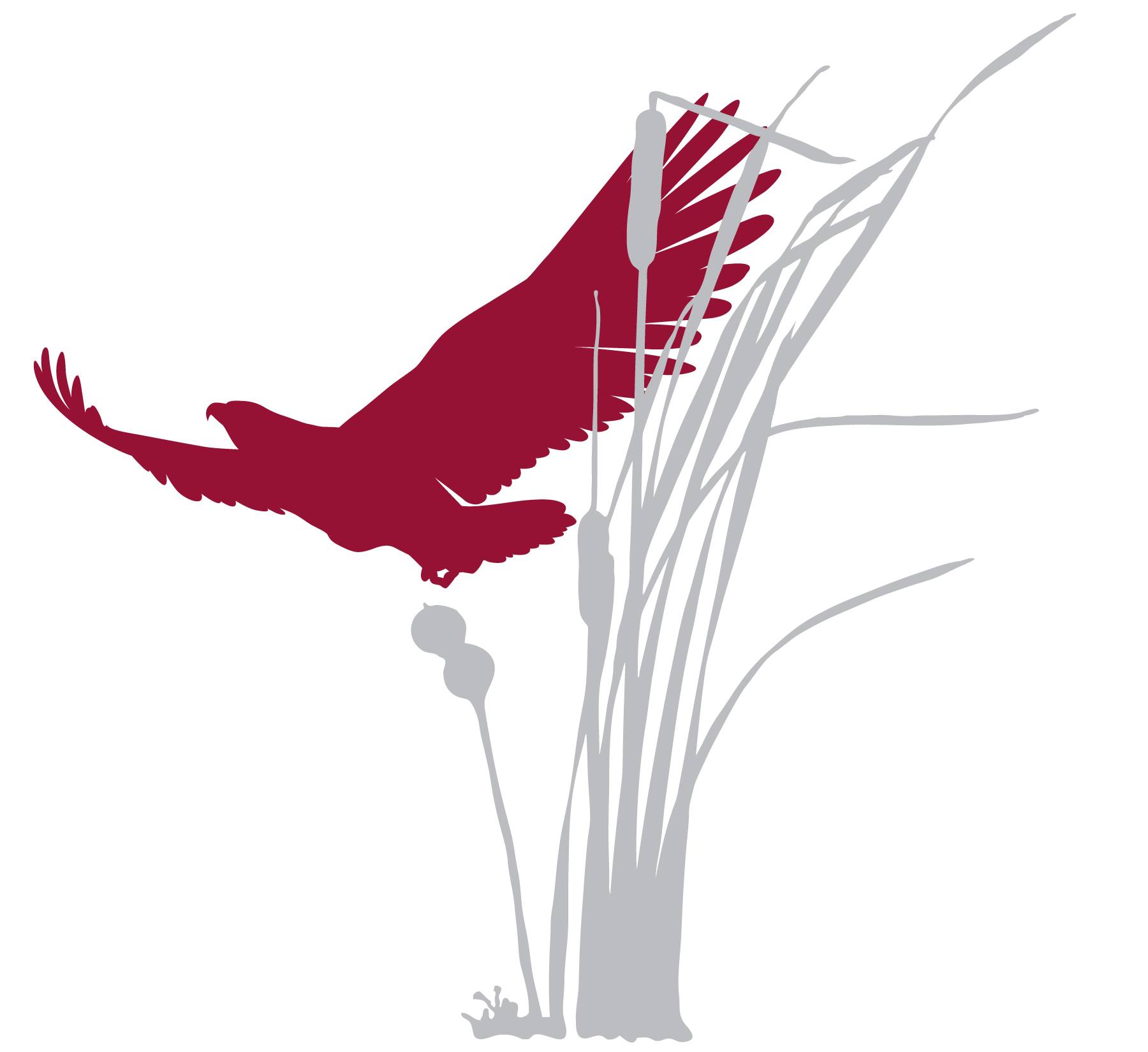 Coopers Hawk Vineyards logo