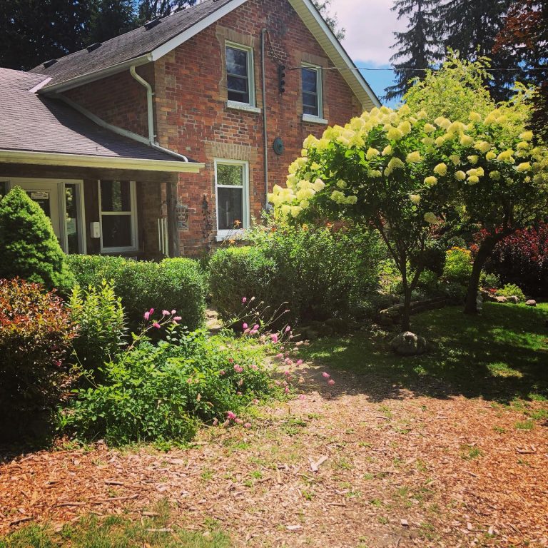 Irvineside Farm 6 768x768