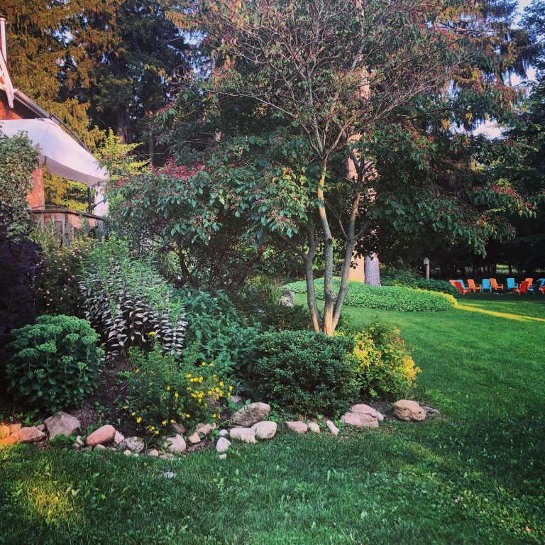 Irvineside Farm 8 768x768