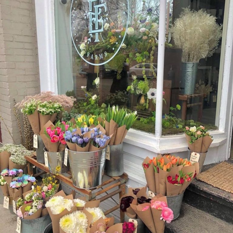 Kimpton Saint George Hotel 4 768x768