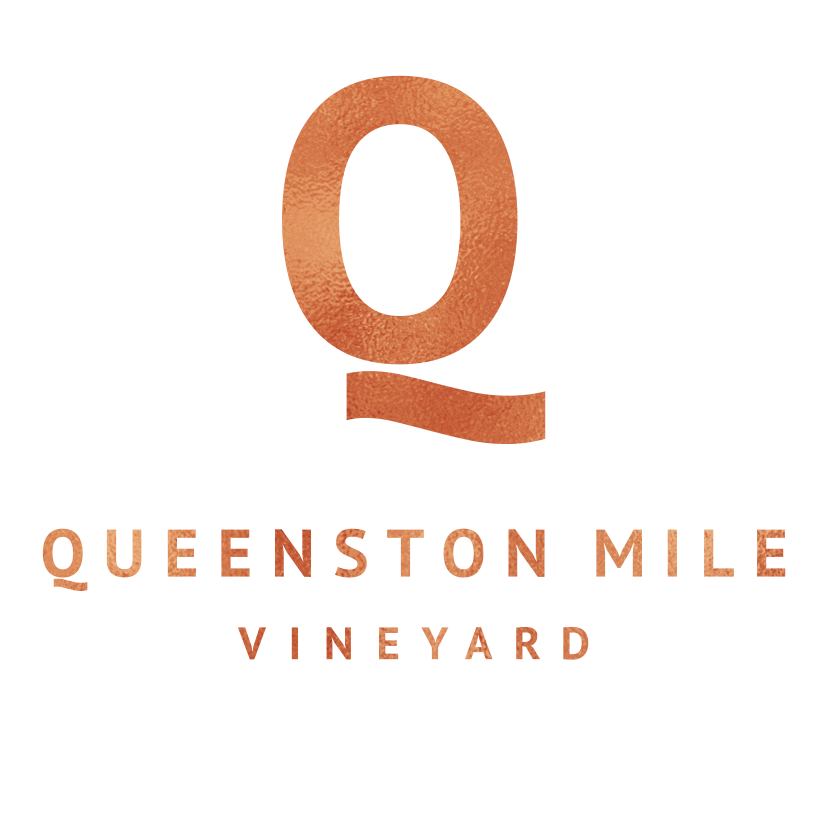Queenston Mile Vineyard logo