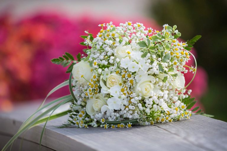 Renaissance By The Creek 2 768x512