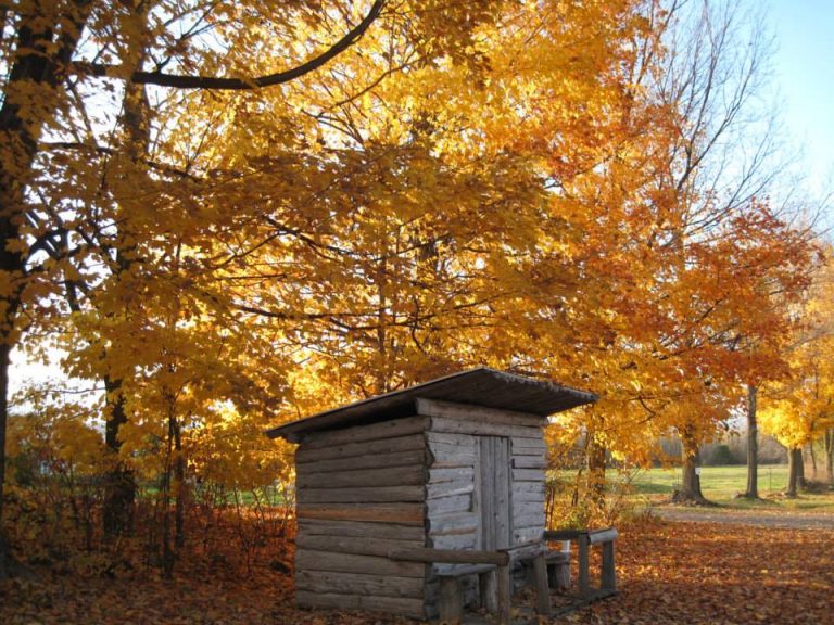 Stanleys Olde Maple Lane Farm 3 768x576