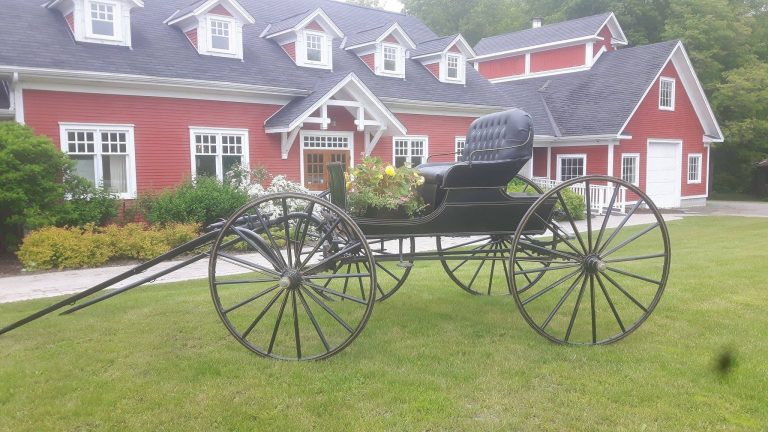 Temples Sugar Bush 8 768x432