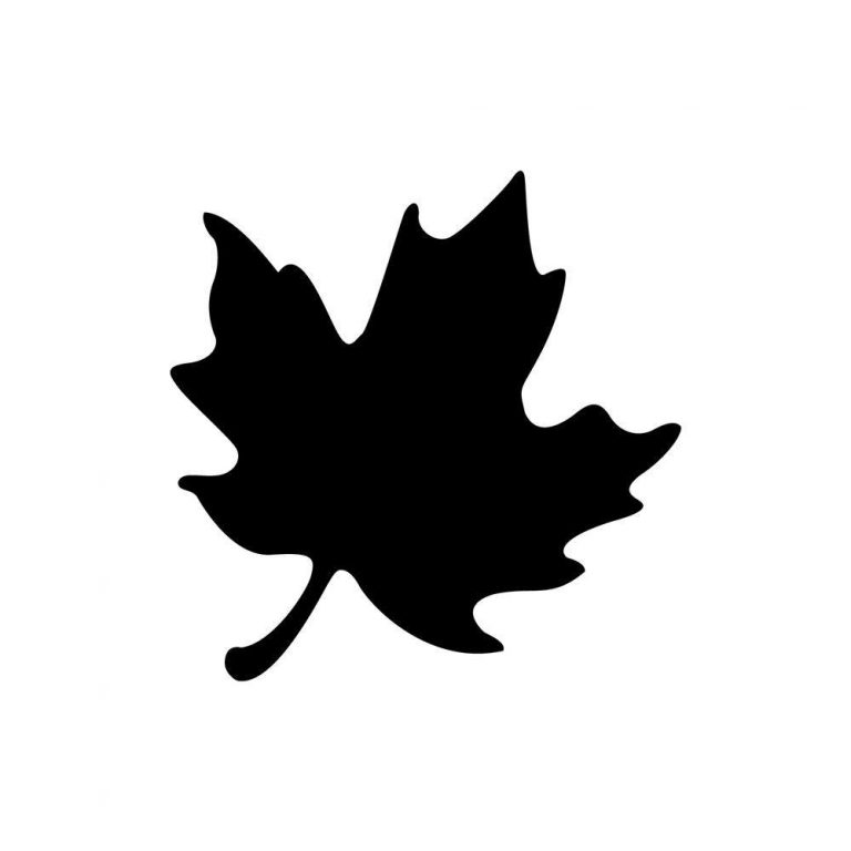 The Globe and Mail Centre logo 768x768