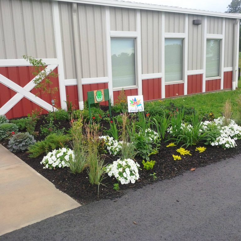 West Niagara Agricultural Society 5 768x768