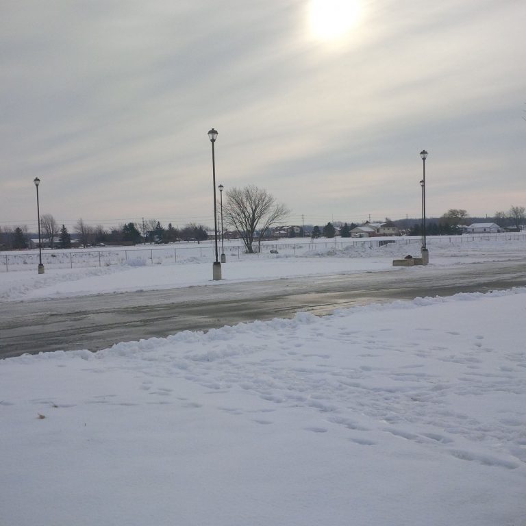 West Niagara Agricultural Society 7 768x768