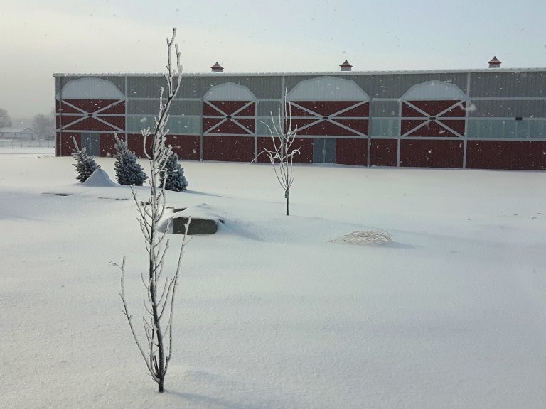 West Niagara Agricultural Society 8 768x576